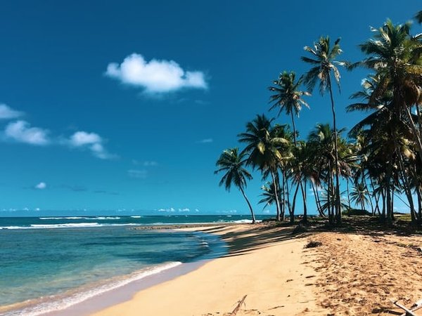 Les merveilles de la République Dominicaine : Plages, îles tropicales et Parc National del Este